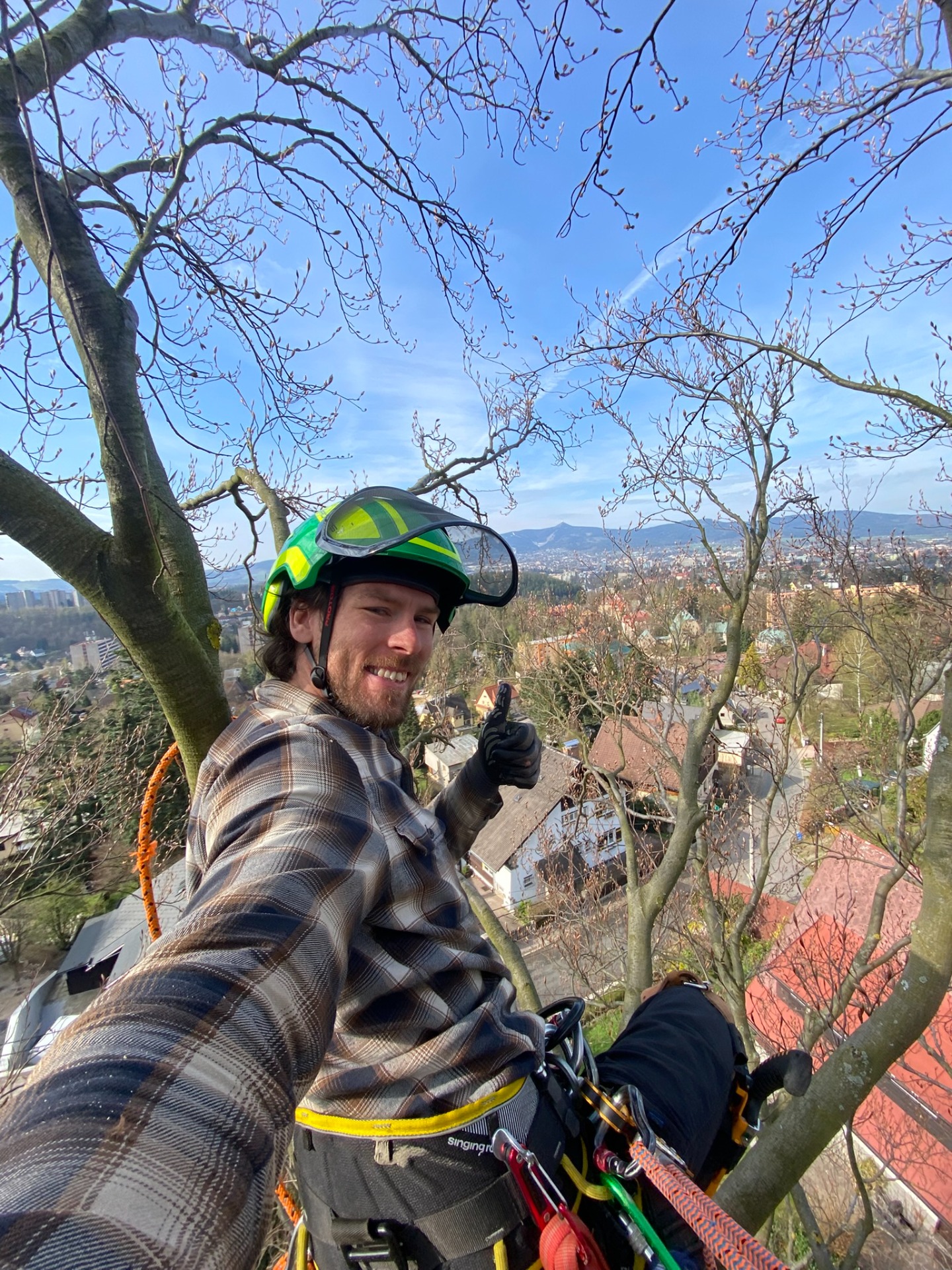 Zdravotní řez Liberec