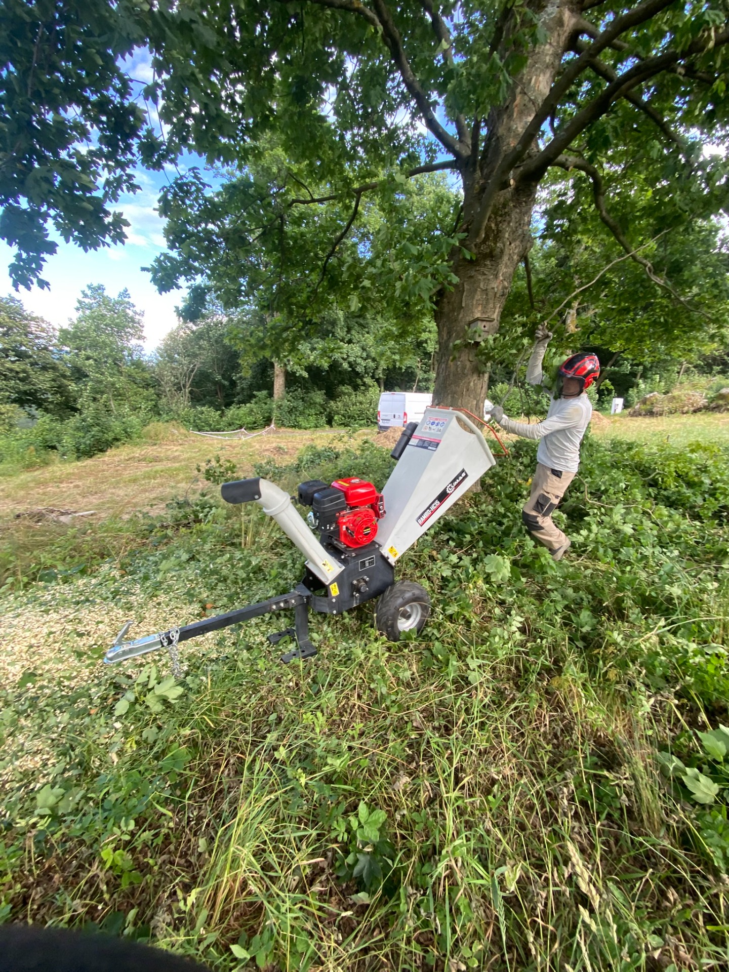 Štěpkovač pro správnou biodiverzitu stromu